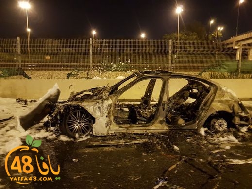 29467alarab.jpg