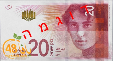 5645645.jpg